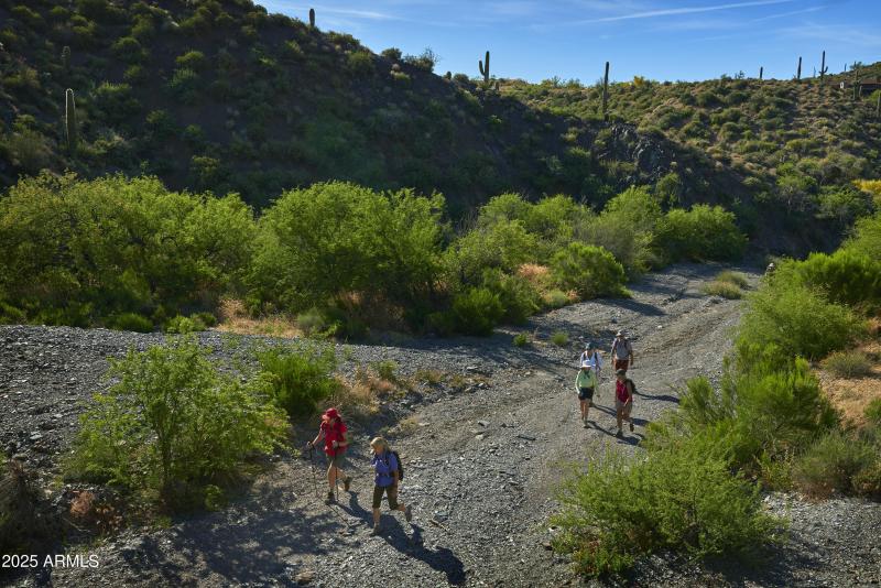 Desert Mountain Club
