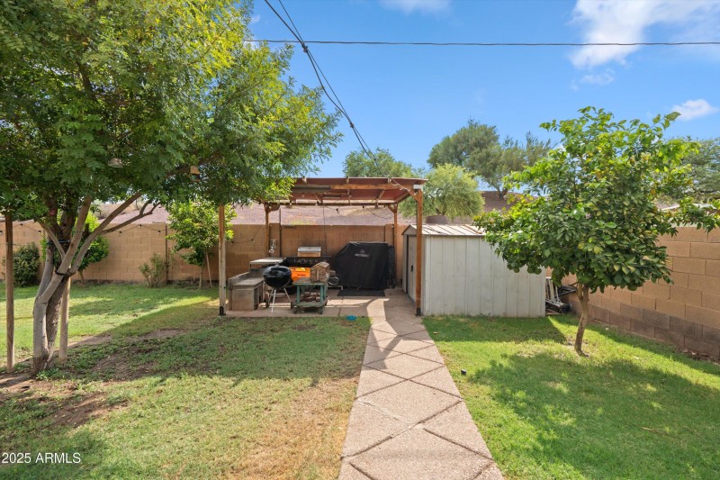 34-Backyard