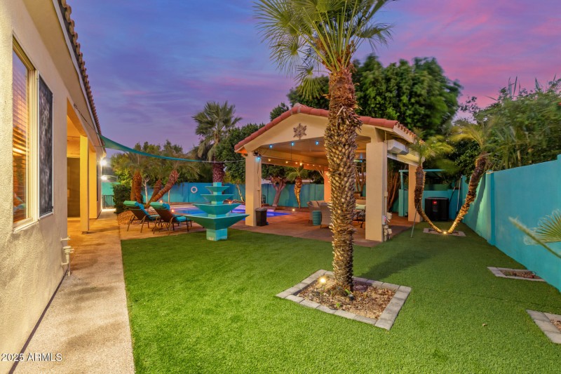 Backyard