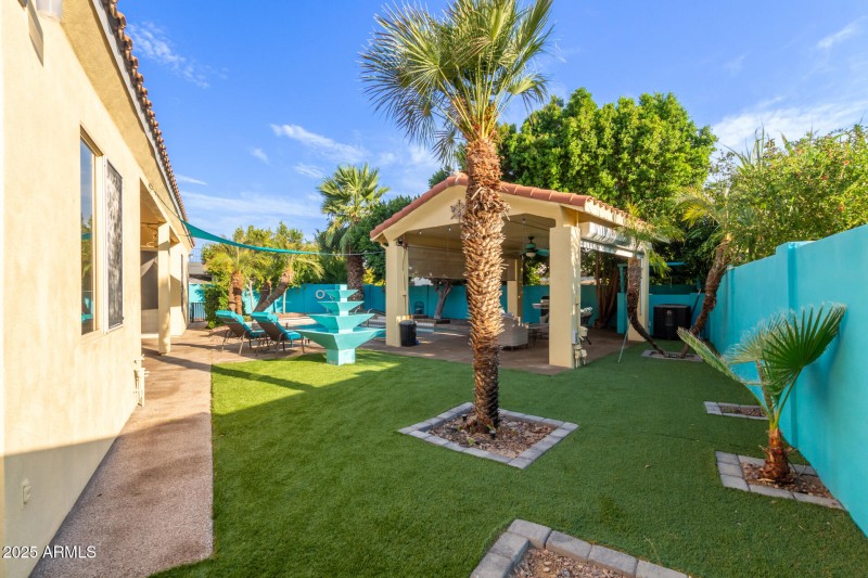 Backyard
