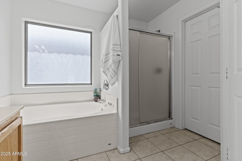 Primary Bathroom 2