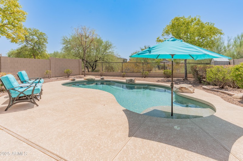 Backyard/Pool