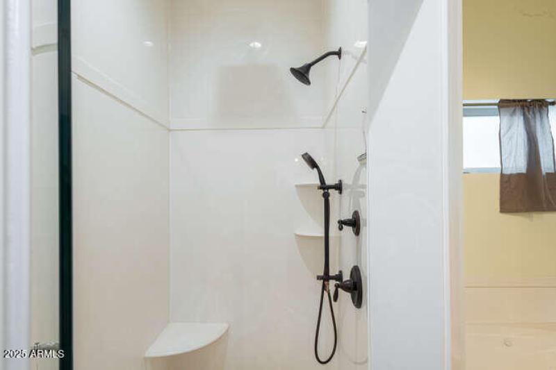 Primary Shower