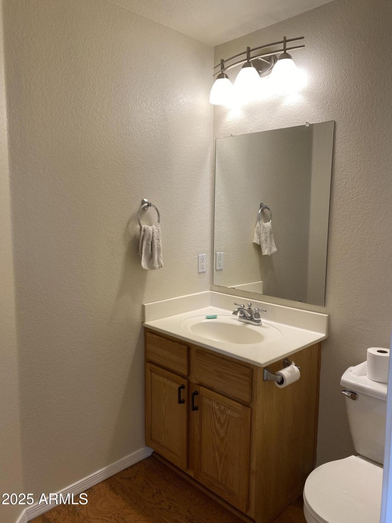 Downstairs Powder Room