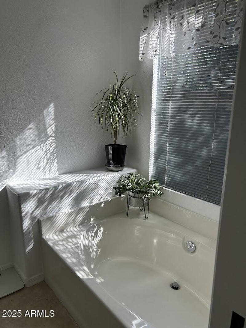Owners Bathroom