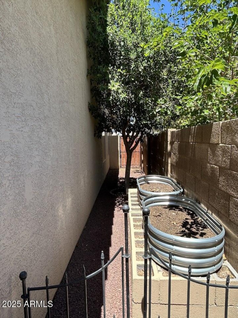 Side Yard