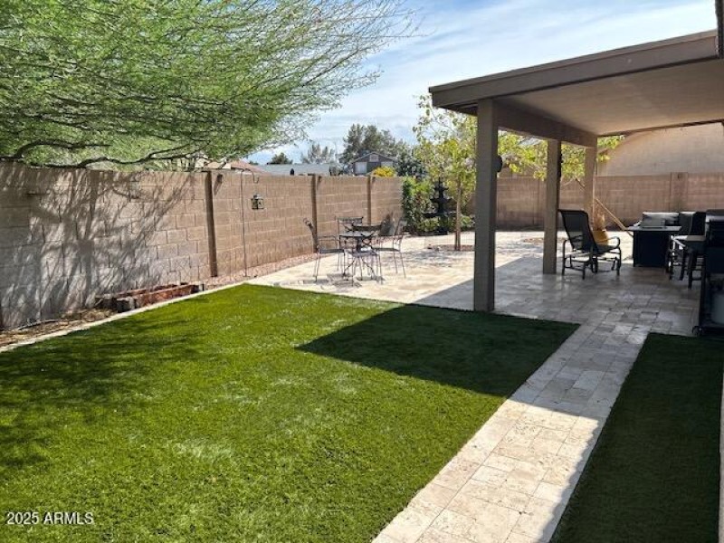 Back Yard