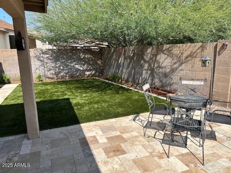Back Yard