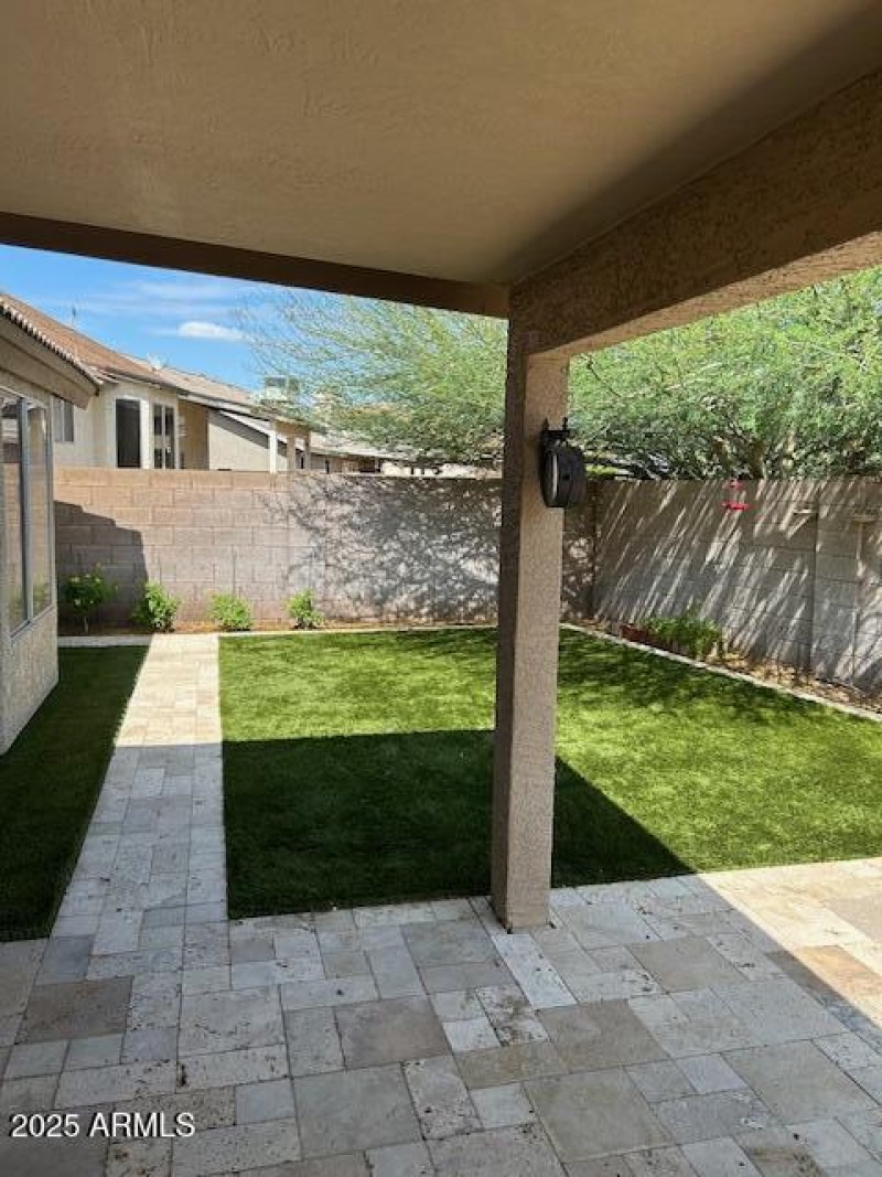 Back Yard