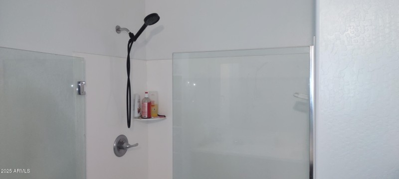 2025 BH master shower wide 1000016697
