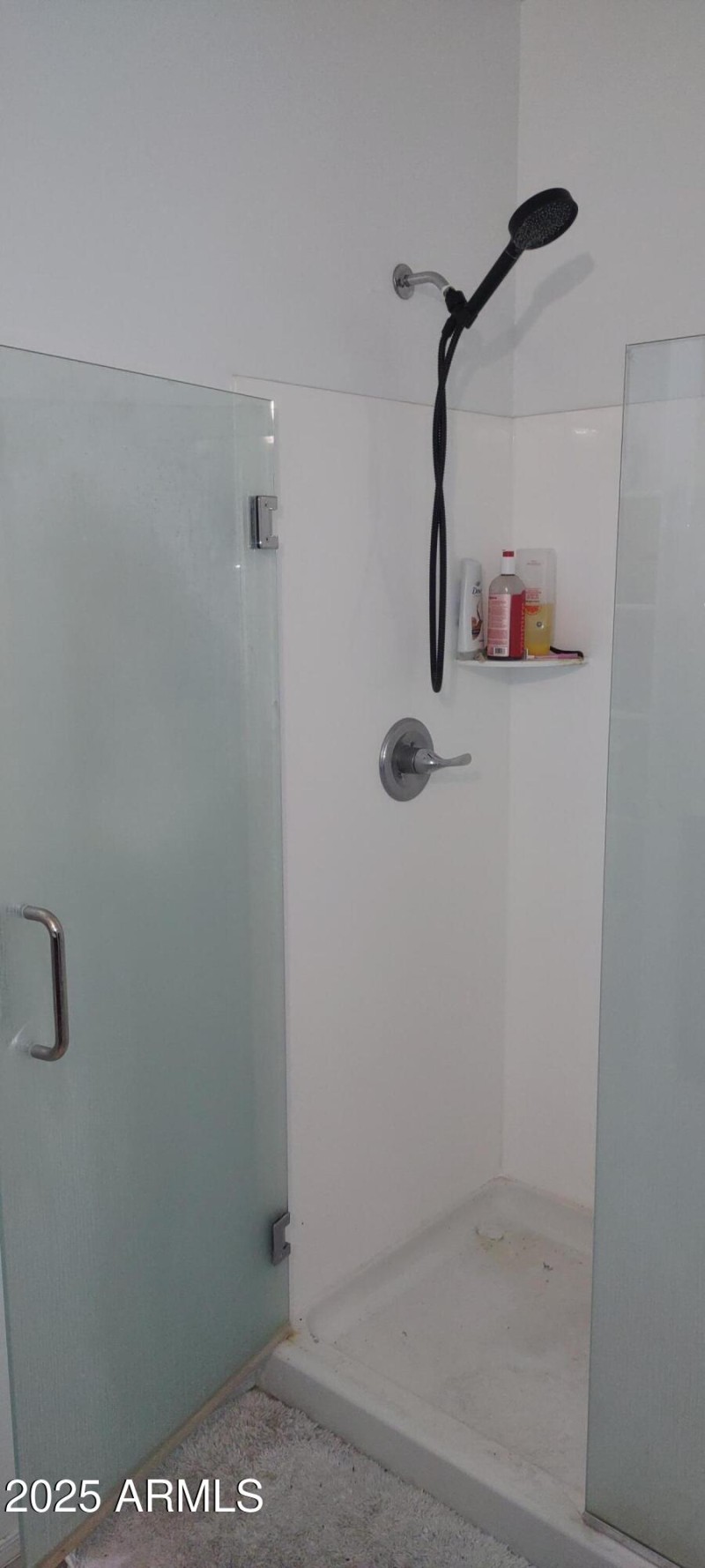 2025 BH master shower 1000016698