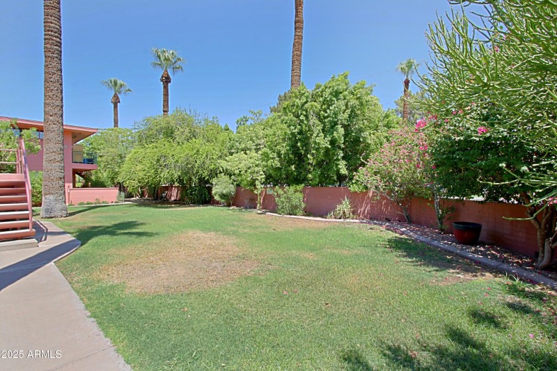 Community area