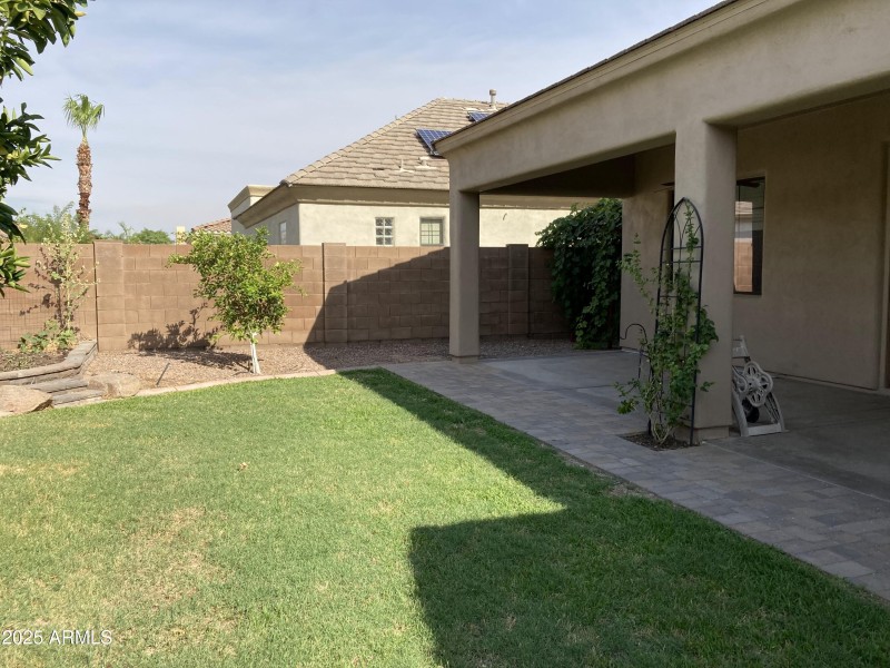 Backyard