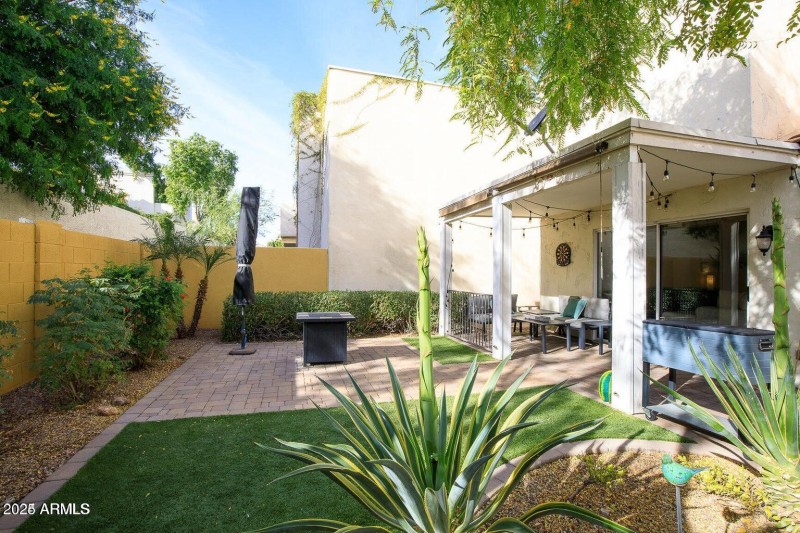 Backyard1
