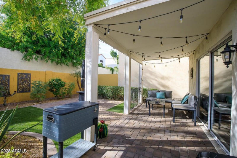 Backyard2