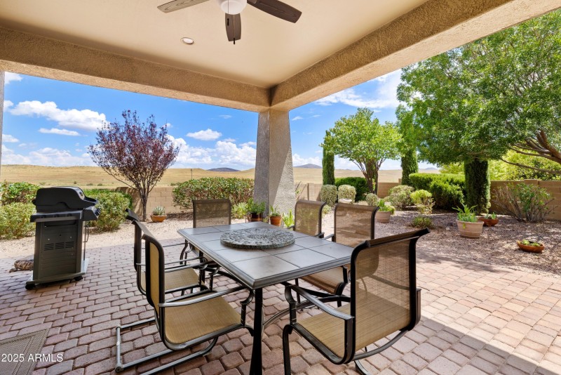 Back Patio