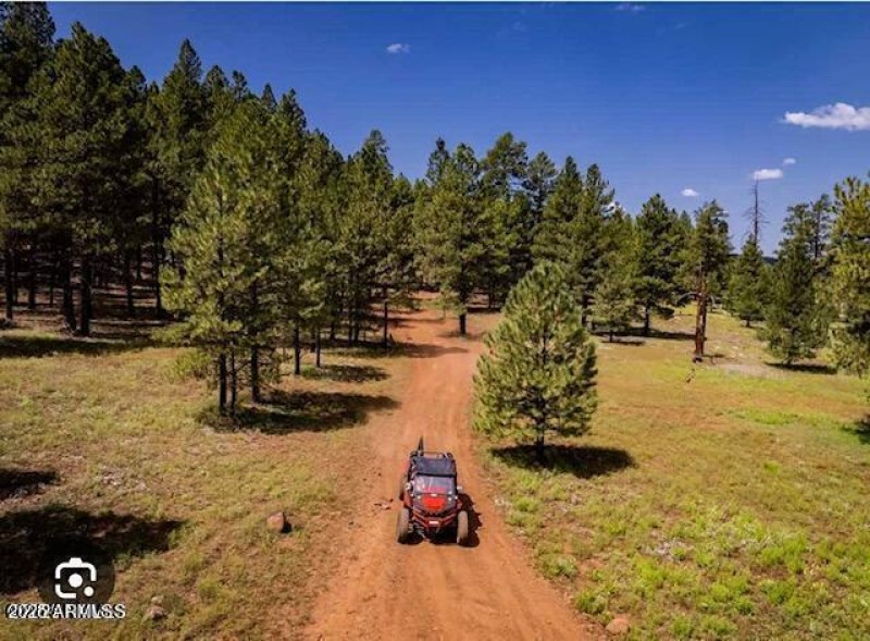lots of trails