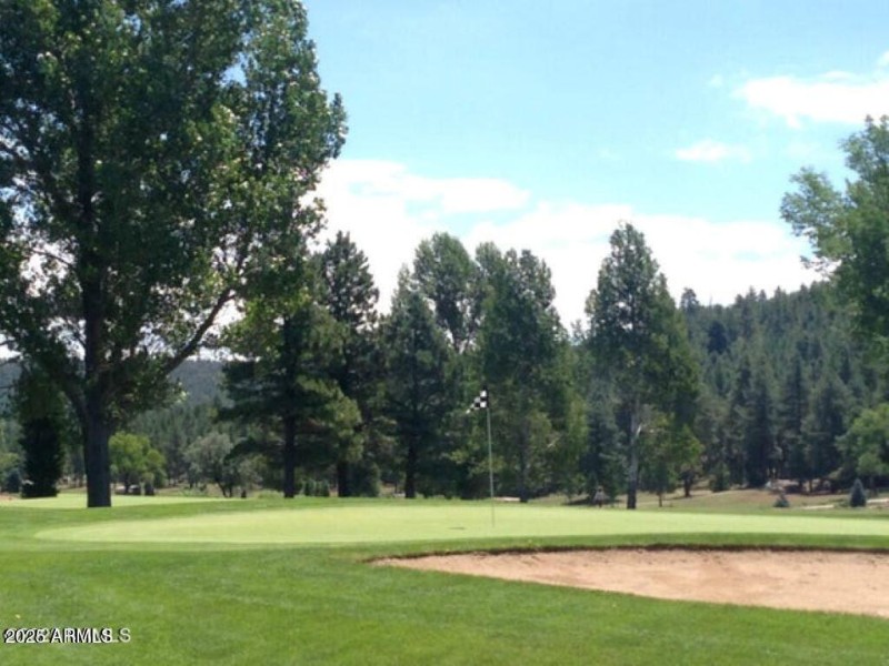 golf green