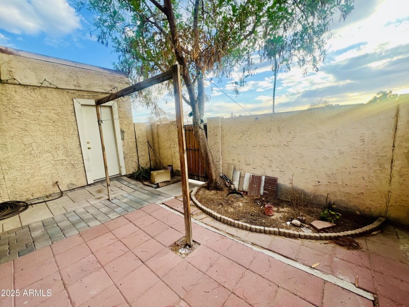 Back Patio