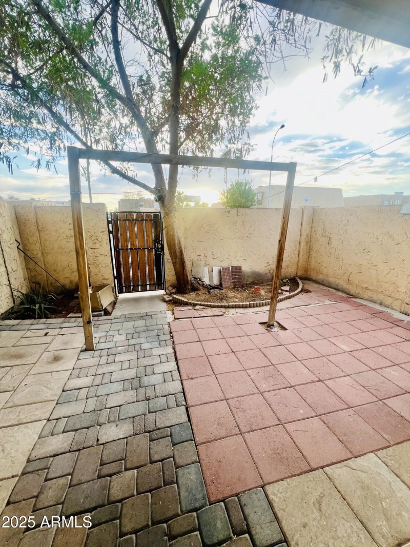 Back Patio