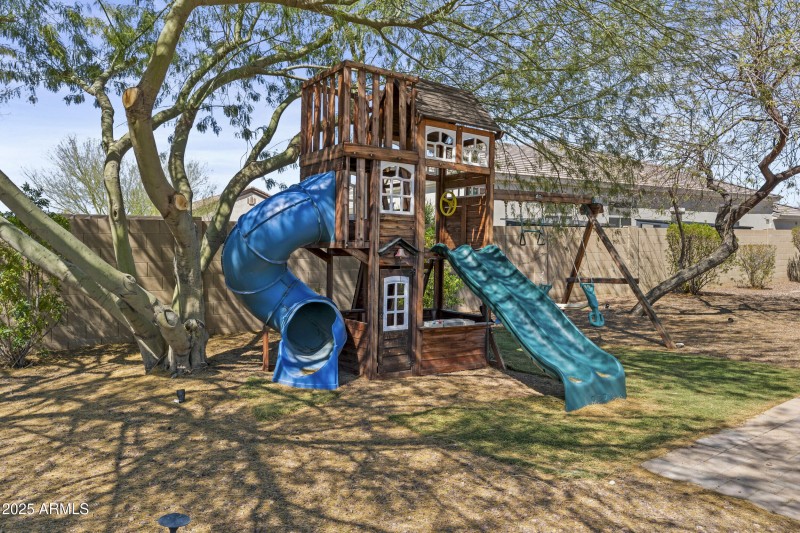 Fun Jungle Gym!