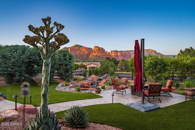 Desert Oasis: Flora and Fauna