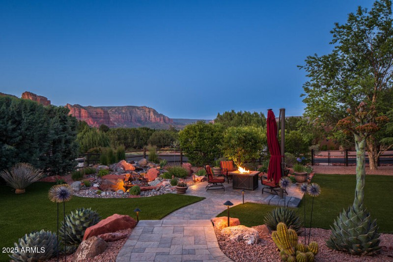 Backyard Desert Beauty