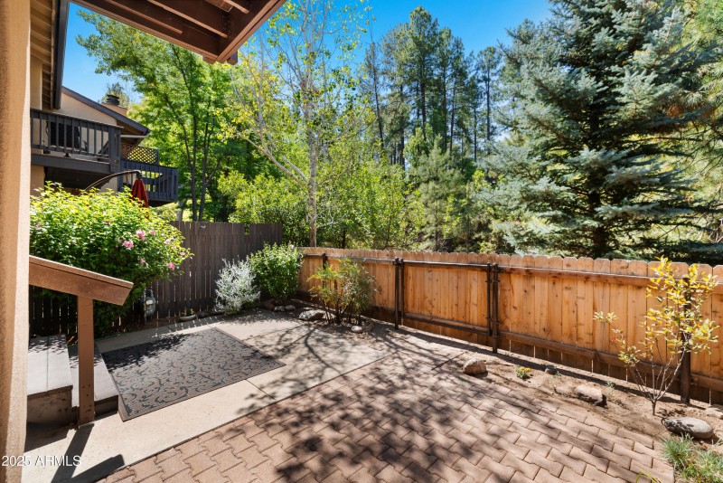 26-Backyard (3)