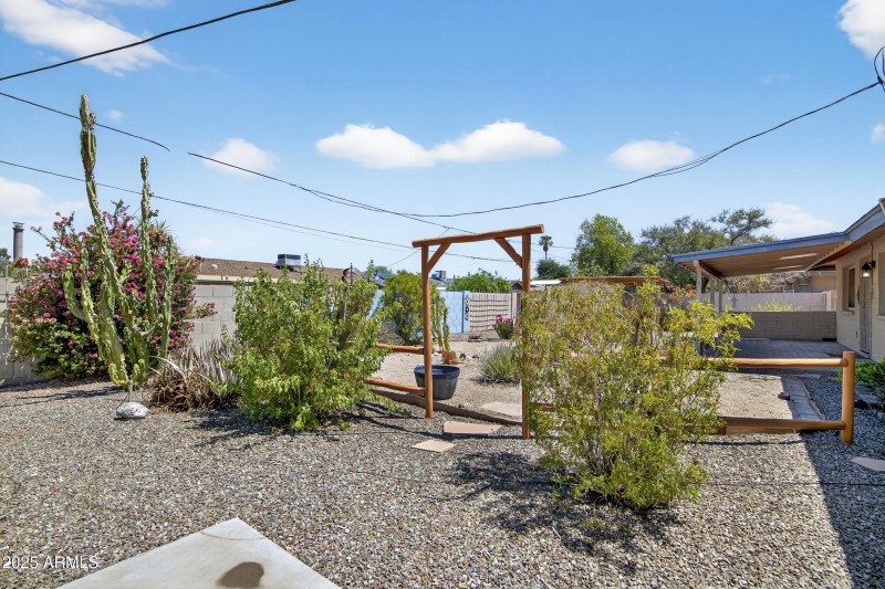 Backyard