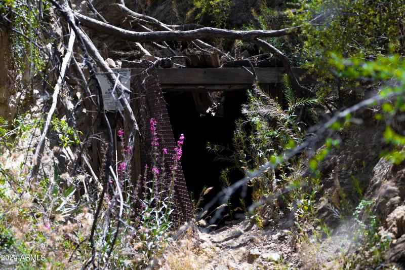 Rancho Del Oro