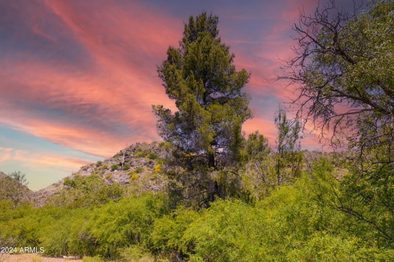 Rancho Del Oro