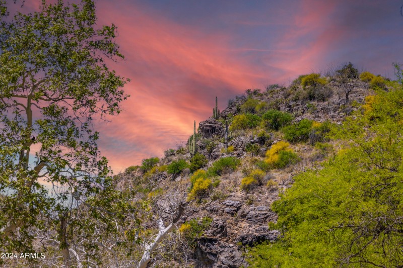 Rancho Del Oro