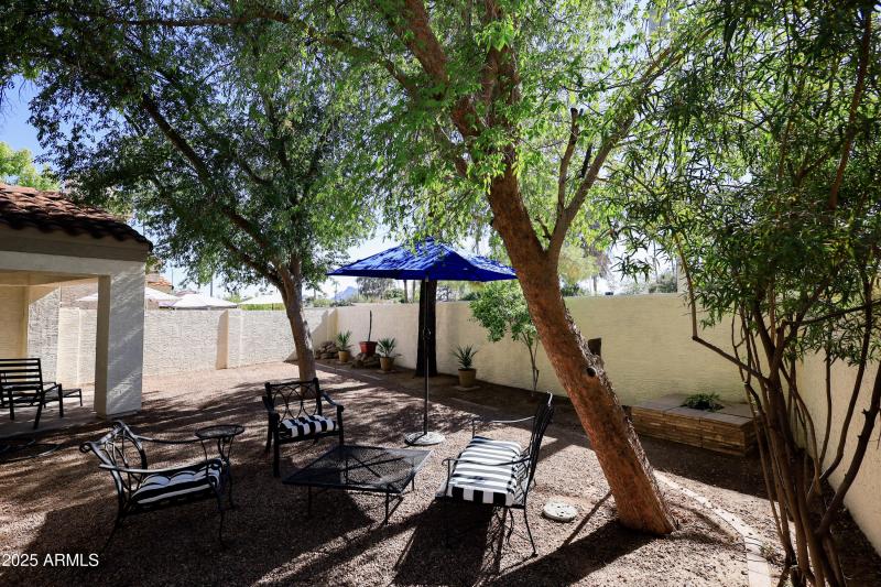 11840 N 40th Way. House Back Yard 4