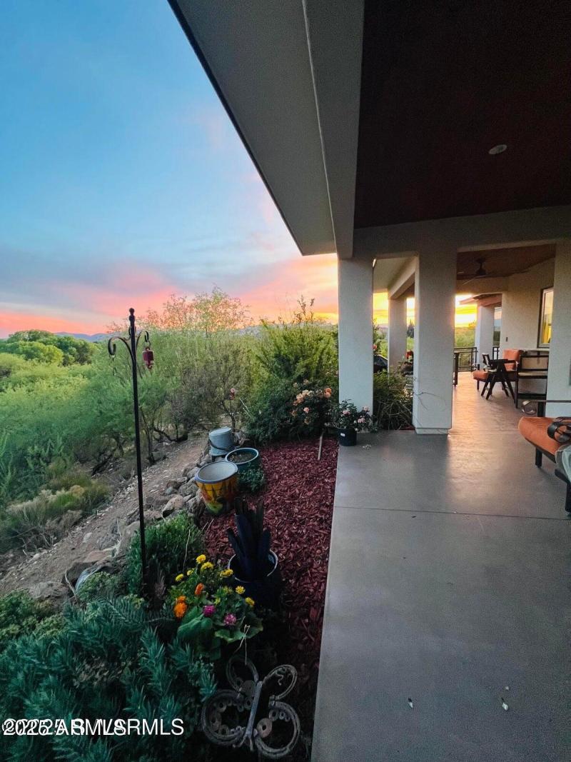 Back Patio