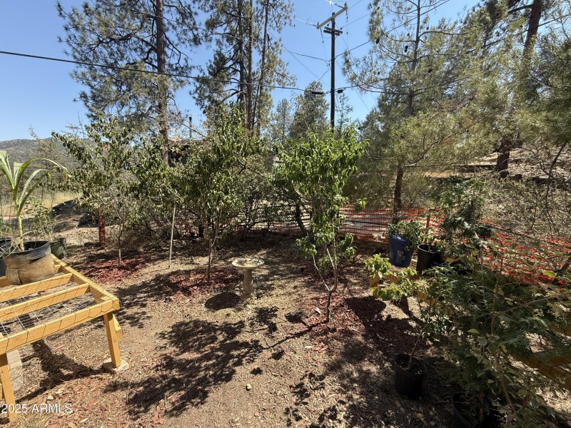 Fruit trees