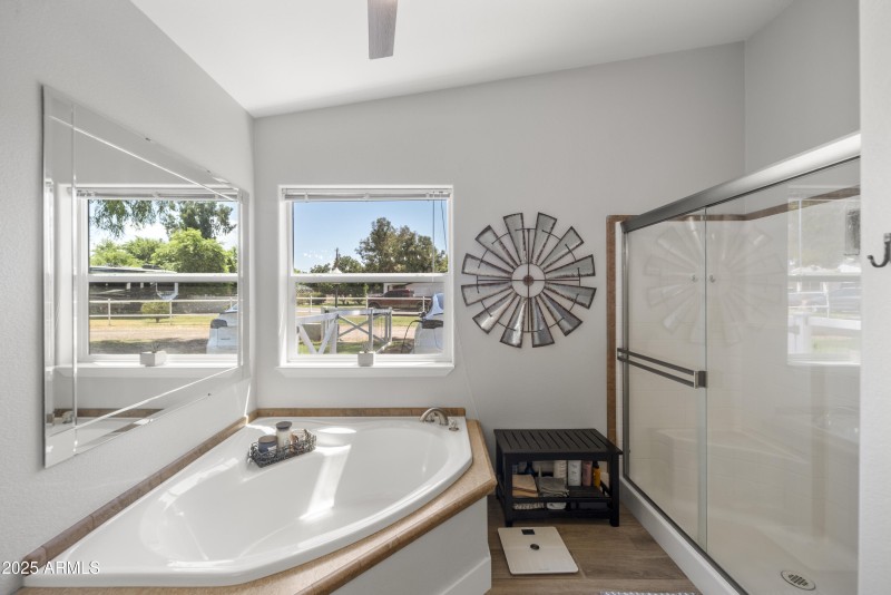 Master bath/shower
