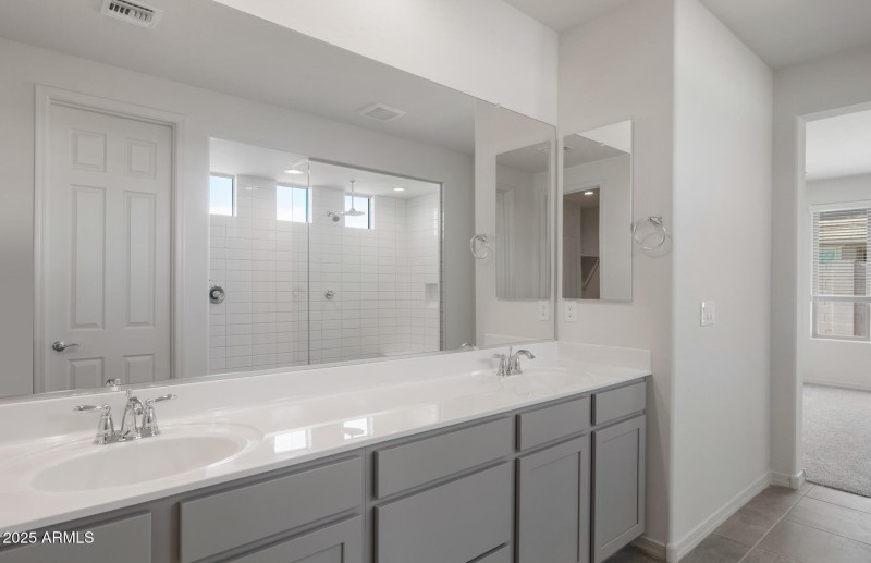 Owner's Bathroom