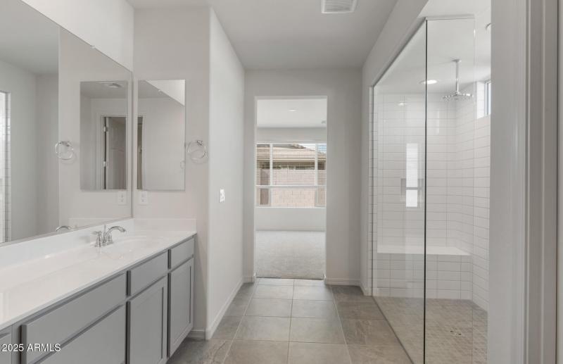 Owner's Bathroom