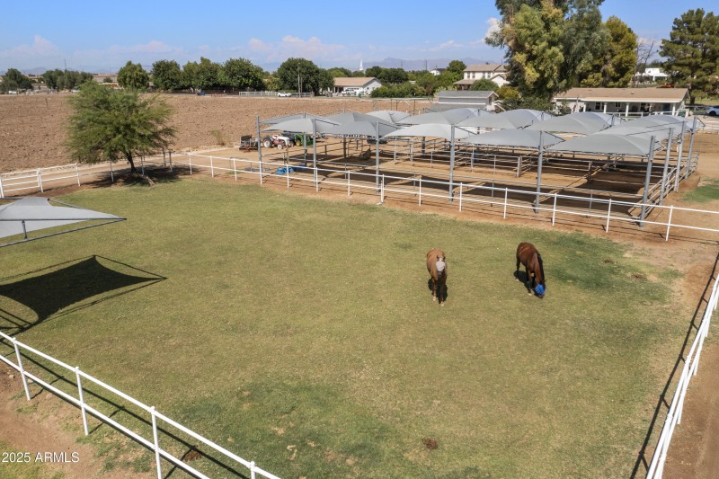 Pasture 1 / stalls drone