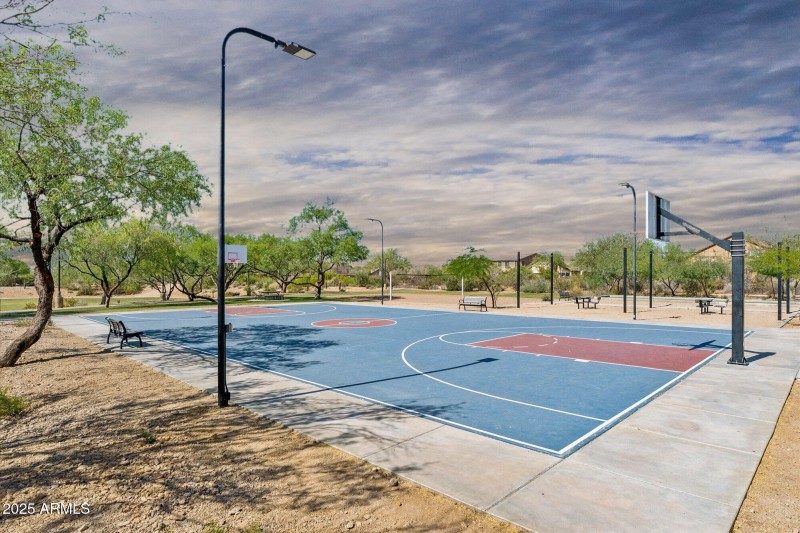 Basketball Court