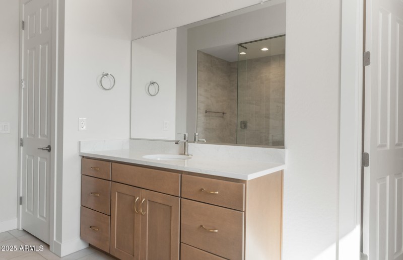 Owner's Bathroom