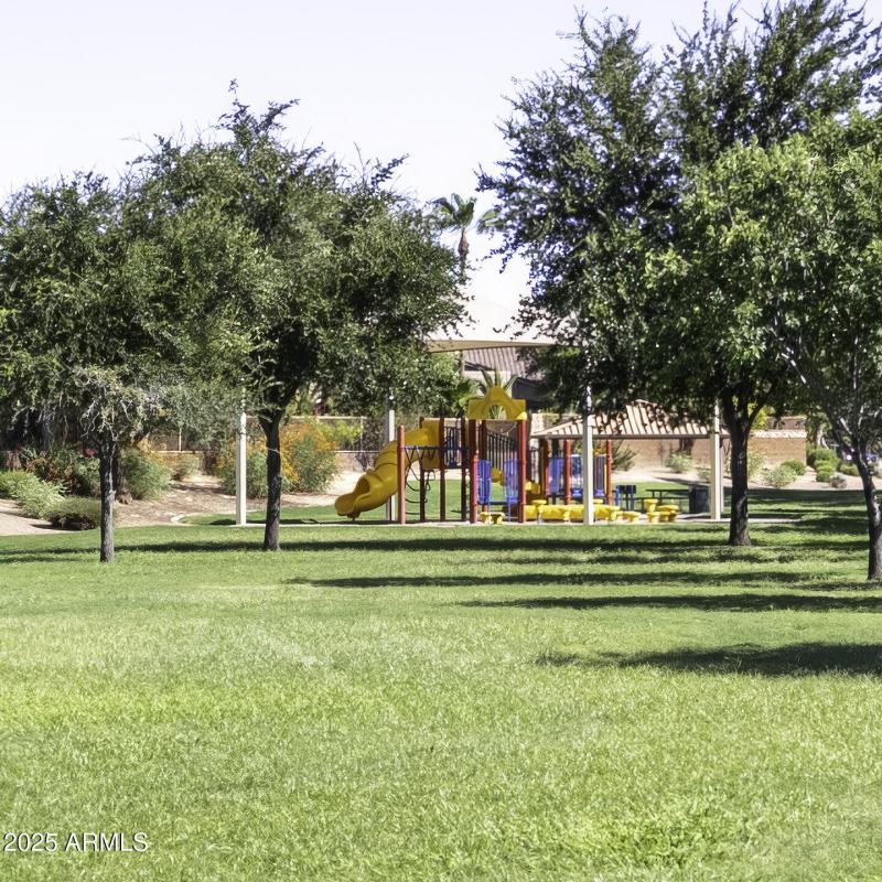 5T8A7534cropped_forgiga-HDR-Edit-gigapix