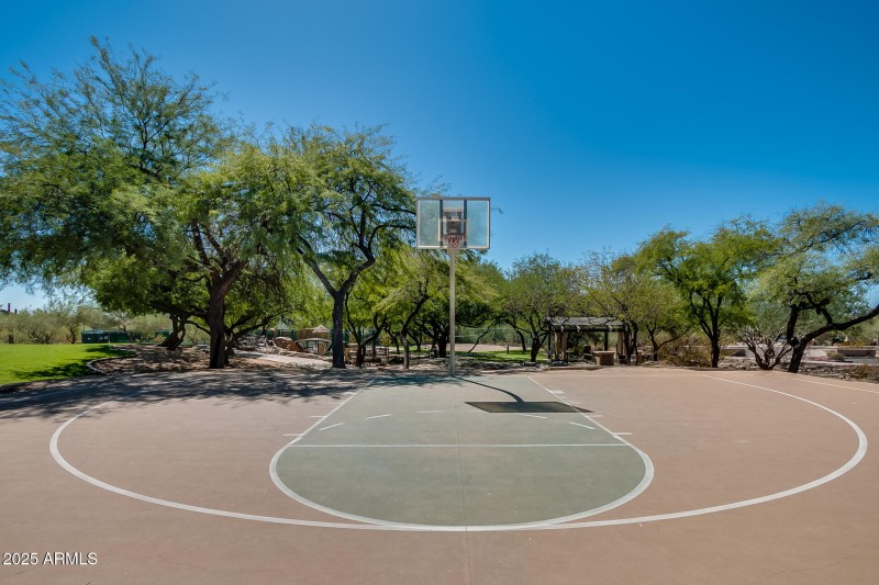5 Community Basketball