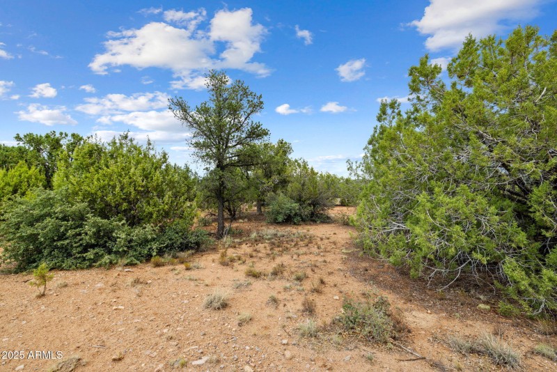 14-Lot Photo (2)