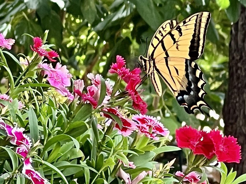 Garden Paradise