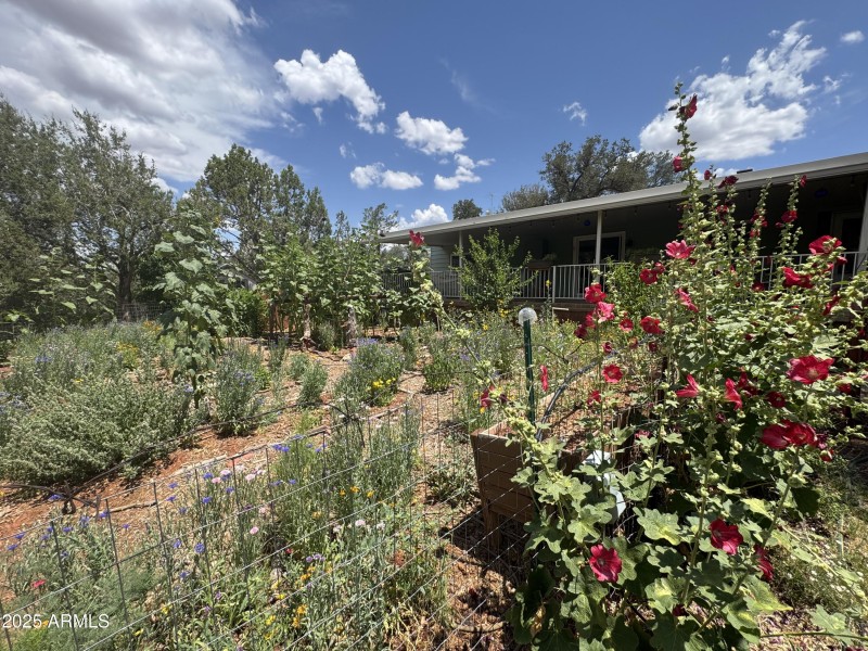 Wildflowers and Hollyhocks