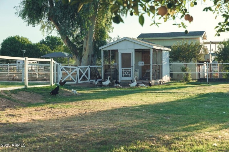 Chicken coop / North side of property