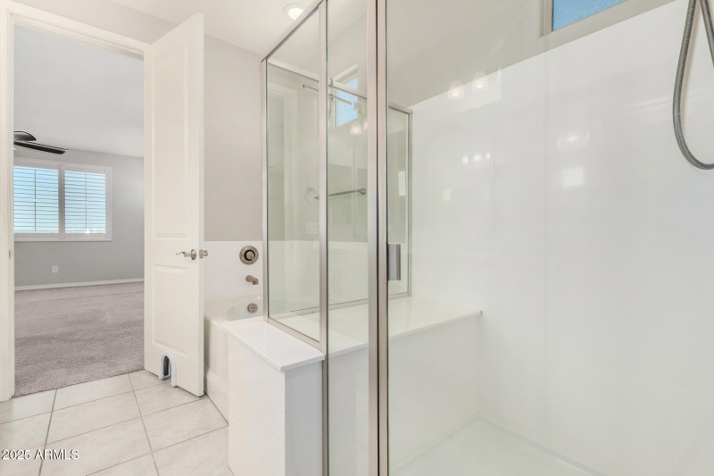 Primary Shower and soaking Tub