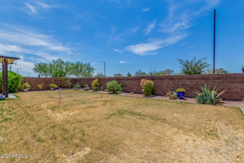 Backyard Landscaping