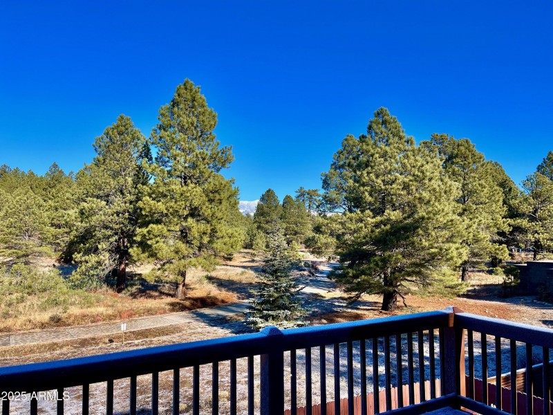 View from Deck